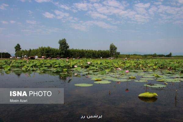 تالاب ها کبد زمین هستند