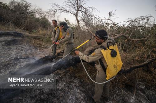 مهار آتشسوزی جنگل های خاییز بهبهان باتلاش بیشتر از 300 نفر