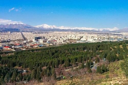 مردم به نام خود نهال در بوستان جنگلی سرخه حصار می کارند