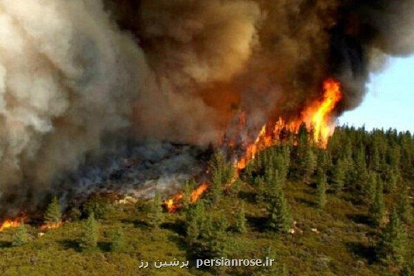 کاهش ۹۹ درصدی حریق در مناطق حفاظت شده تهران