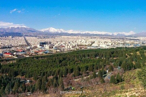 مردم به نام خود نهال در بوستان جنگلی سرخه حصار می کارند